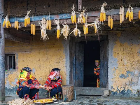 Sức sống cao nguyên đá