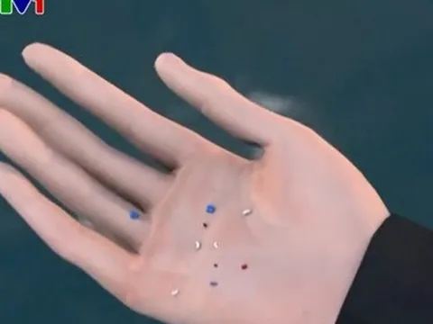 "Nước mắt nàng tiên cá" trên các bãi biển