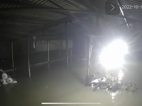 Làm rõ nguyên nhân một trang trại mất trắng sau lũ ở Thừa Thiên-Huế