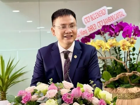 Ông Nguyễn Hồ Nam hoàn tất mua vào 5 triệu cổ phiếu Bamboo Capital (BCG) sau sự cố bị giải chấp