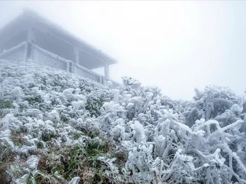 Tin không khí lạnh mạnh; chỉ đạo ứng phó rét đậm, rét hại, băng giá, sương muối