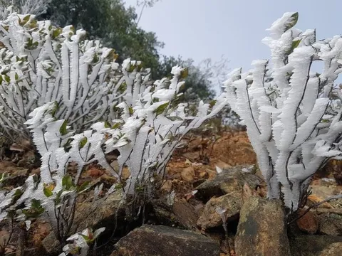 Xuất hiện băng tuyết tại vùng núi cao Tây Nghệ An