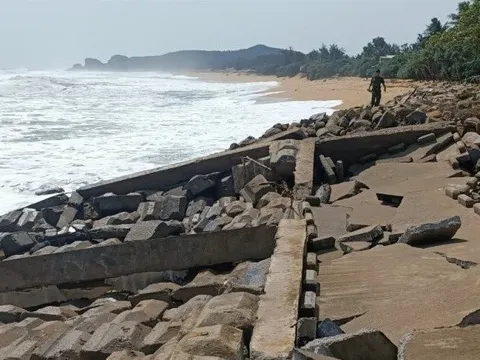Quảng Ngãi công bố tình huống khẩn cấp sạt lở một khu vực bờ biển