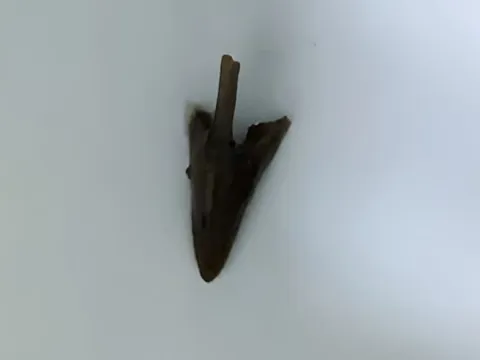 Hà Nội: Bị sặc khi ăn thịt gà, người đàn ông phải nhập viện