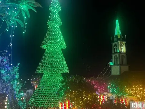 Người dân nô nức đi xem cây thông làm từ 2.500 nón lá ở Đồng Nai