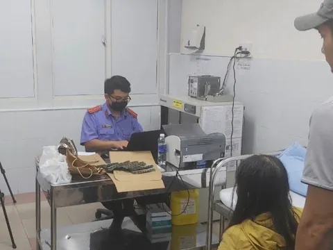 Vì sao nữ chấp hành viên Cục Thi hành án dân sự Tp.HCM bị bắt khẩn cấp?