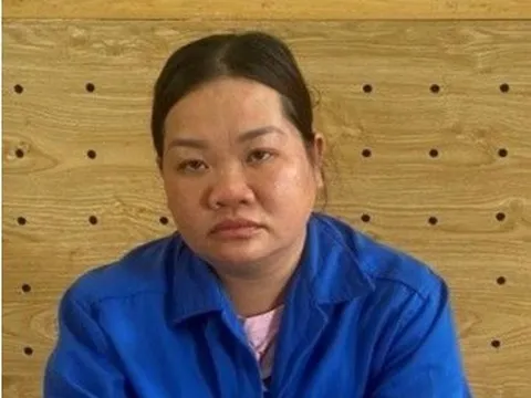 Đồng Nai: Bắt Kế toán trưởng Trung tâm Phát triển quỹ đất tham ô 27 tỷ đồng