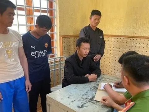 Phát hiện đường dây trồng, mua bán cần sa liên tỉnh với số lượng lớn