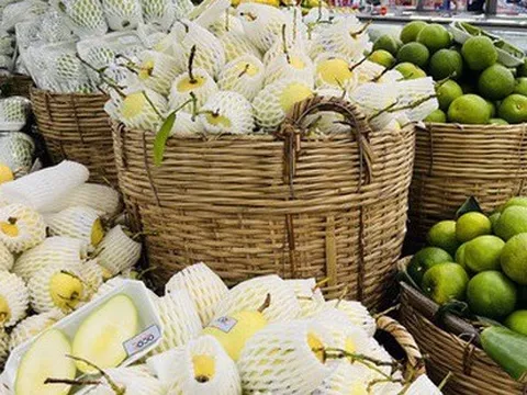 Năm nay xuất khẩu trái cây mang về hơn 3,1 tỉ USD, năm 2023 kỳ vọng bao nhiêu?