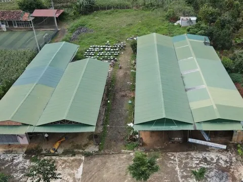 Cơ quan chức năng phản hồi thông tin chợ tiền tỷ xây xong rồi bỏ hoang