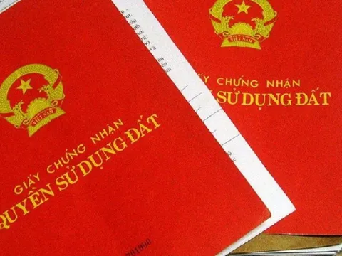 Đà Nẵng: Bắt 9X dùng sổ đỏ giả mang đi bán lấy 700 triệu đồng