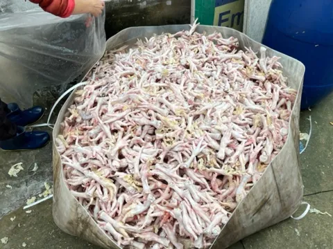 Xử phạt cơ sở kinh doanh chân gà bẩn bốc mùi “đội lốt” hàng chất lượng