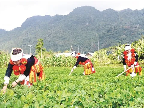 Chương trình hành động thực hiện Chiến lược công tác dân tộc giai đoạn 2021 – 2030