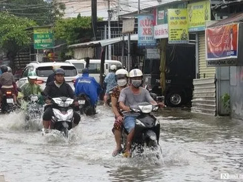 Khánh Hòa triển khai ứng phó với mưa lớn diện rộng, gió mạnh trên biển