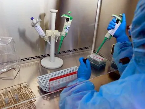 TP.HCM ghi nhận biến chủng phụ XBB của Omicron