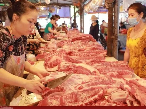 Giá lợn hơi giảm mạnh, giá thịt vẫn ở mức cao