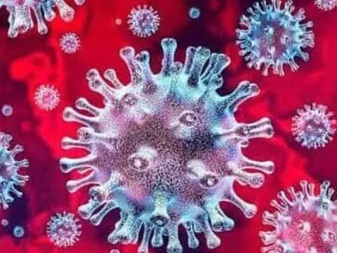 WHO: Biến thể XBB.1.5 dễ lây lan nhất, chưa có bằng chứng gây bệnh nặng hơn trước