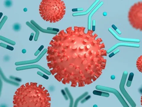 Tìm thấy dấu vết của virus SARS-CoV-2 ở hơn 80 vị trí khác nhau trong cơ thể, từ não và tim đến mắt