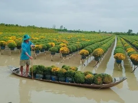 “Thủ phủ hoa” lớn nhất miền Tây vào xuân