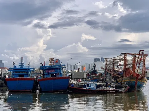 Đà Nẵng không có tàu cá vi phạm khai thác hải sản ở vùng biển nước ngoài từ năm 2007
