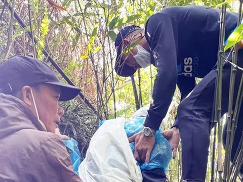 Cách để sống sót khi ngã từ trên cao