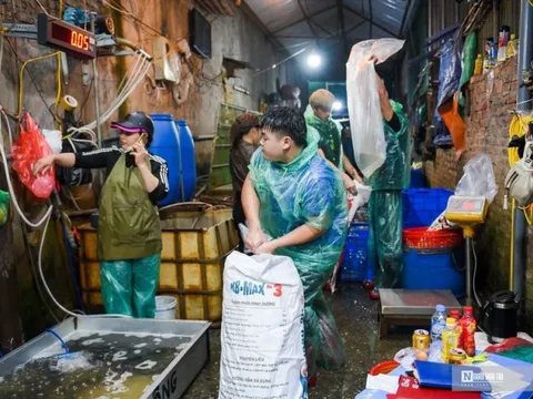 Chợ cá Yên Sở nhộn nhịp dịp ông Công ông Táo