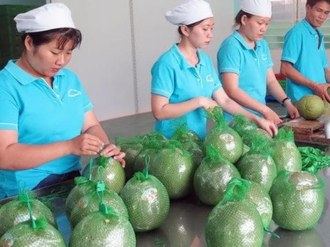 GDP ngành nông nghiệp tăng cao nhất 3 năm