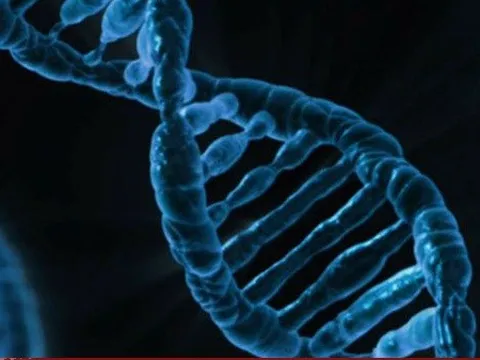 Anh dự kiến mở rộng giải trình tự gen từ COVID-19 sang bệnh cúm