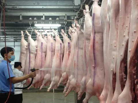 Tăng cường quản lý, kiểm soát giết mổ động vật bảo đảm an toàn dịch bệnh, an toàn thực phẩm