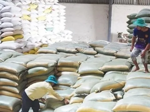 Xuất cấp gạo cho 7 tỉnh dịp Tết Nguyên đán Quý Mão và giáp hạt năm 2023