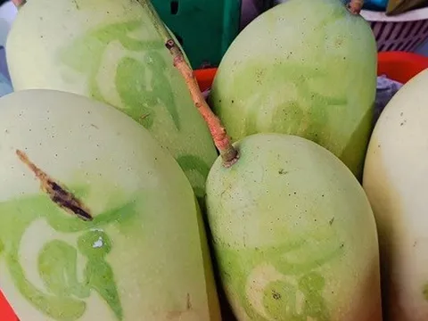 TP HCM: Trái cây Tết đổ về chợ, tiểu thương bán thâu đêm suốt sáng