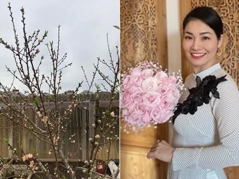 Người Việt xa xứ - Tết về cồn cào nhớ quê hương