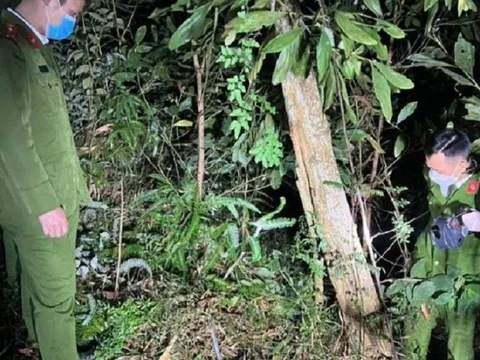 Xuyên đêm truy bắt nghi phạm gây án mạng ở Hà Giang