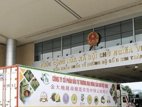 Hoa quả Việt ùn ùn xuất sang Trung Quốc trong 2 ngày Tết