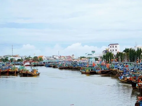 Bình Thuận: Chìm tàu, 12 ngư dân rơi xuống biển, 4 người mất tích