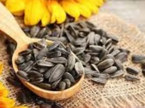 Ai không nên ăn hạt hướng dương?