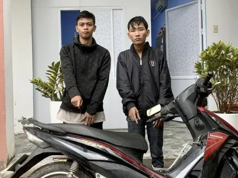 Bắt 2 đối tượng thực hiện hàng chục vụ trộm cắp liên tỉnh