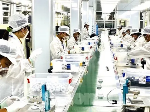 Vì sao dòng tiền trong nước 'chảy' vào Bình Dương lớn hơn cả vốn FDI?