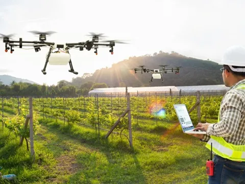 Ứng dụng thiết bị bay không người lái trong nông nghiệp