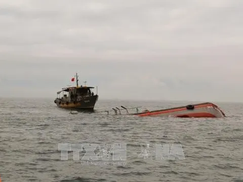 Vụ chìm tàu cá trên biển Bình Thuận: Đã cứu sống được 3 thuyền viên mất tích