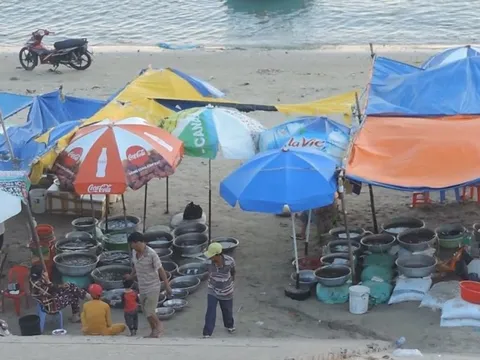 Xử lý triệt để vụ dùng cân gian lận ở làng chài Mũi Né