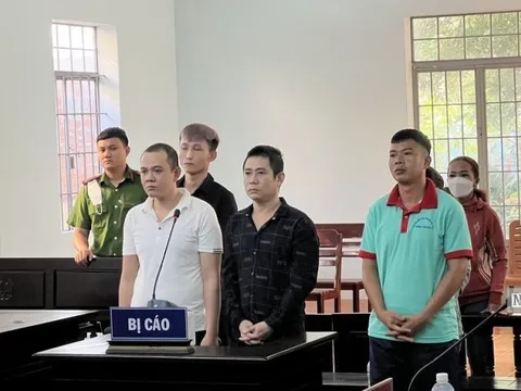 Bình Thuận: Nhóm trộm cắp, tiêu thụ tài sản lãnh án tù