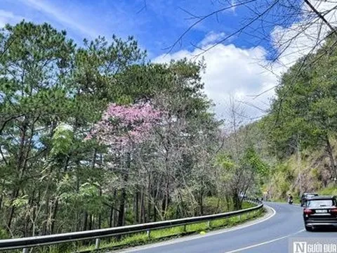 Lâm Đồng: Dừng lưu thông trên đèo Prenn để nâng cấp từ ngày 6/2