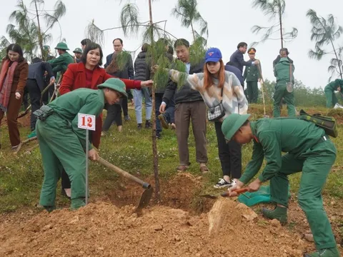 Các tỉnh miền Trung đồng loạt ra quân 'Tết trồng cây đời đời nhớ ơn Bác'