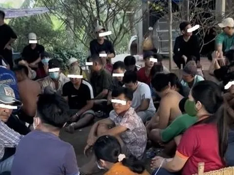 Long An: Triệt phá thành công tụ điểm đá gà quy mô lớn