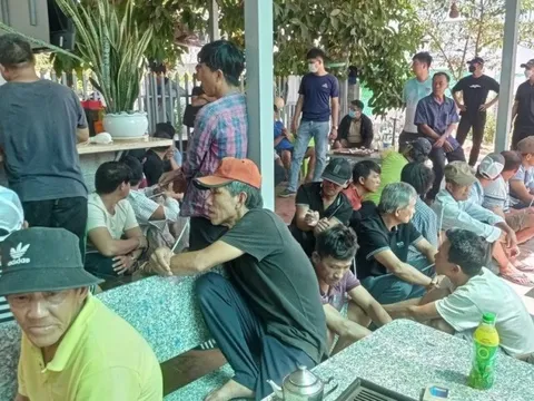 Bình Thuận: Hàng trăm người bị công an bắt khi đang chơi đá gà