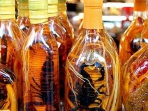 Uống rượu ngâm có lành và bồi bổ sức khoẻ không?