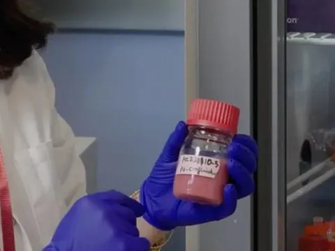 Sắp chế tạo thành công máu nhân tạo