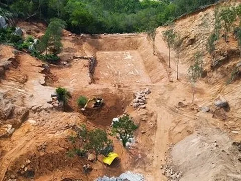 Bà Rịa -Vũng Tàu: Xử phạt 3 người hơn 560 triệu đồng vì phá rừng
