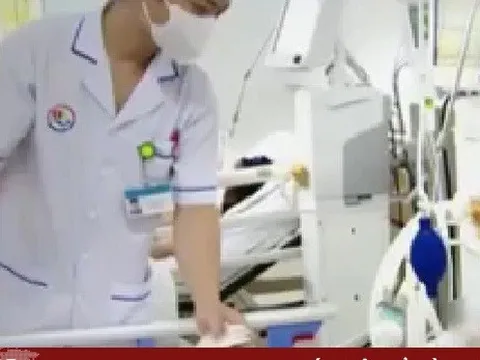 3 người ngộ độc nghi ăn nhầm so biển